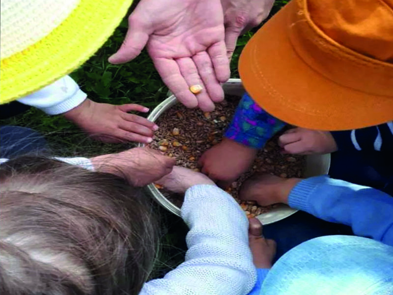 Découverte des animaux de la Ferme d’Apolline