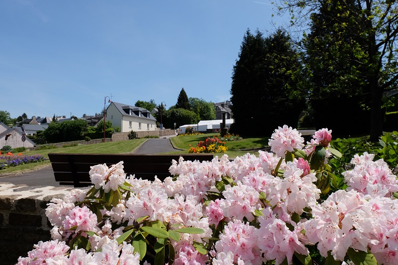 Fête du Jardin — visuel événement