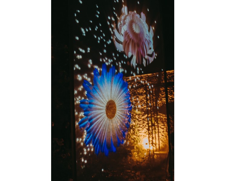 Les soirées illuminées d'été, Mézidon Vallée d'Auge - photo 2
