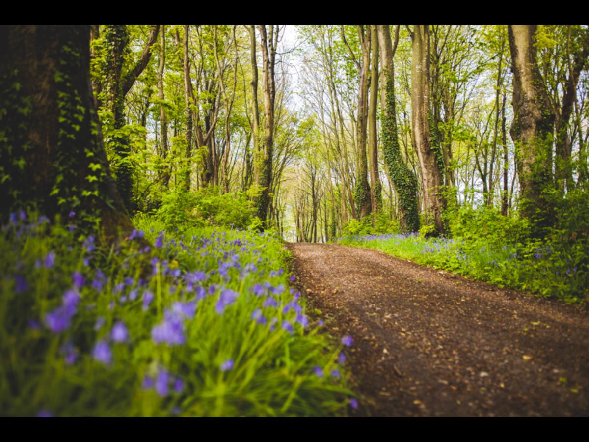 Parc du Château de Flamanville, Flamanville - photo 5