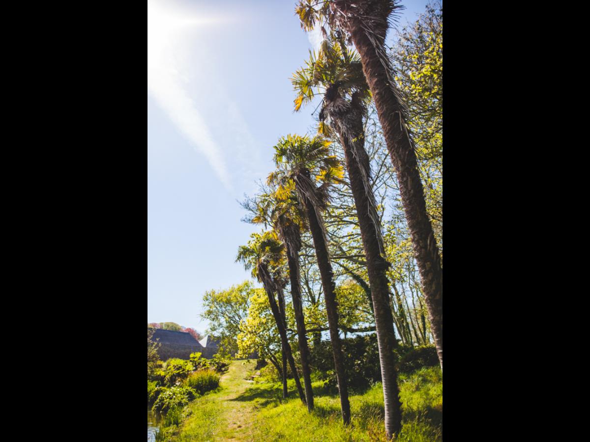 Parc du Château de Flamanville, Flamanville - photo 2