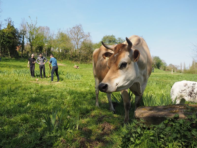 Golf Paysan de la Ferme aux 5 saisons, Flamanville - photo 5