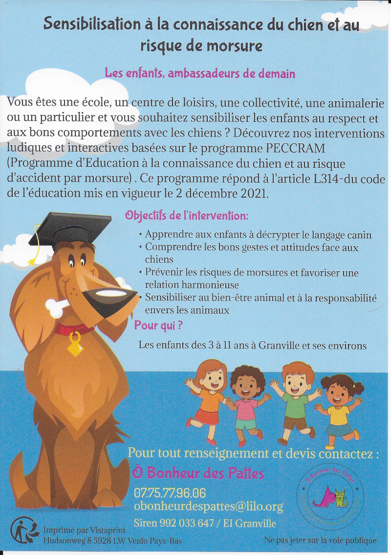 Atelier ludique pour comprendre le comportement canin