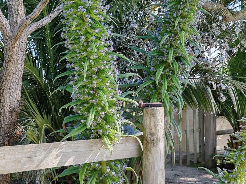 Meublé de tourisme > Entre Terre et Mer, Gatteville-le-Phare - photo 8
