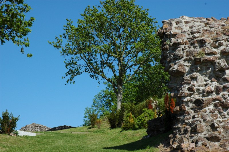 Vestiges du Château Ducal, Gavray-sur-Sienne - photo 6