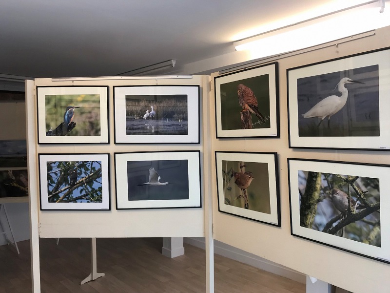 Michel Pailley peintre de la baie du Mont Saint-Michel, Genêts - photo 2