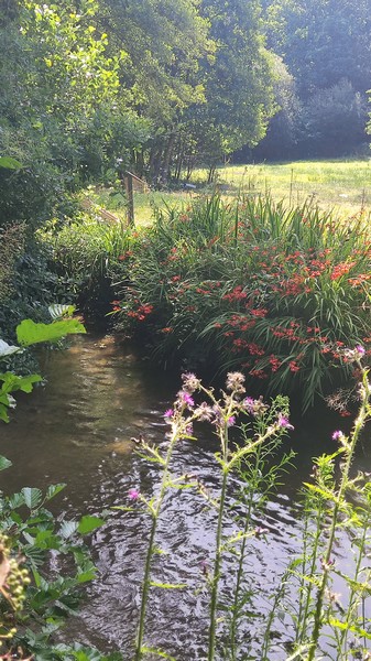 Meublé de tourisme > Riverside Cottage - Le Petit Moulin, Courcy