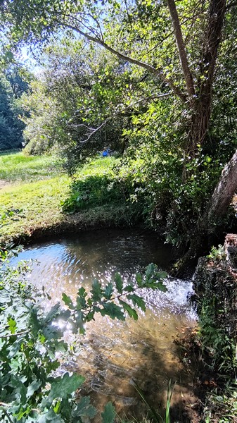 Meublé de tourisme > Riverside Cottage - Le Petit Moulin, Courcy - photo 4