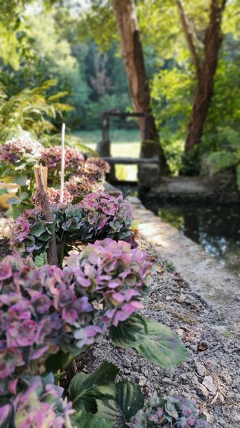 Meublé de tourisme > Riverside Cottage - Le Petit Moulin, Courcy - photo 15