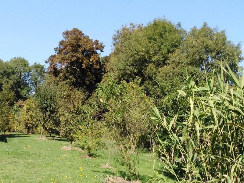 Meublé de tourisme, Gavray-sur-Sienne - photo 5