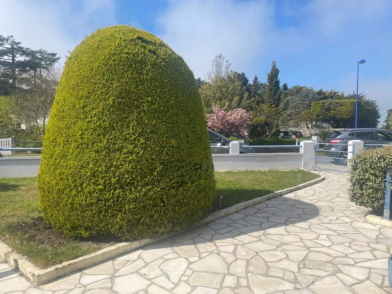 Meublé de Tourisme > Les Dunes, Hauteville-sur-Mer - photo 6
