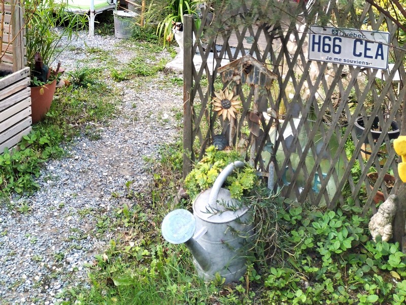 Meublé de tourisme > La petite maison, Montmartin-sur-Mer - photo 3