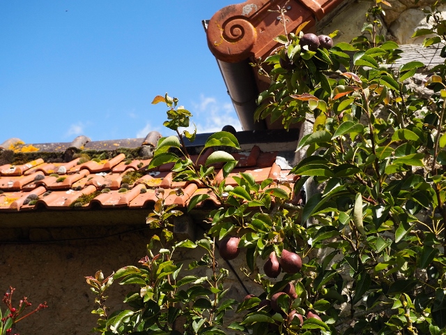 Meublé de tourisme > Le Poirier, Carentan-les-Marais - photo 13