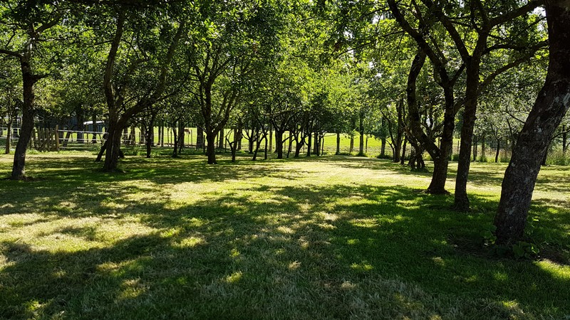 Meublé de tourisme > Les 100 Pommiers - Coté Mer