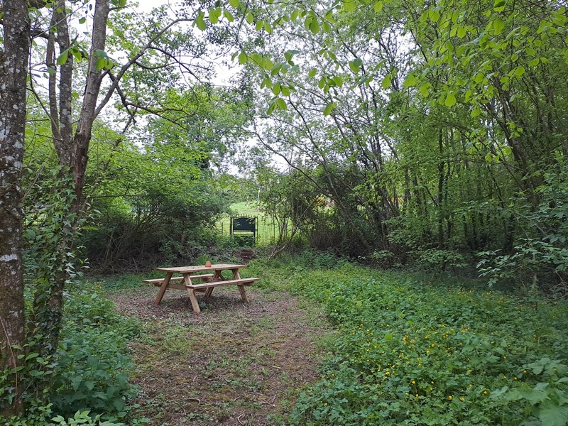 Meublé de tourisme > Gîte de la Baleine, Saint-Denis-le-Gast - photo 4