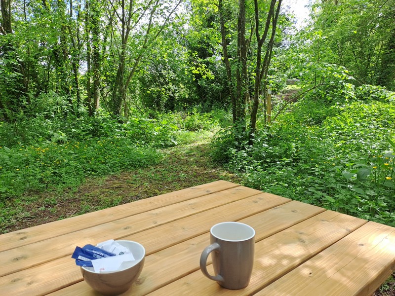 Meublé de tourisme > Gîte de la Baleine, Saint-Denis-le-Gast - photo 5