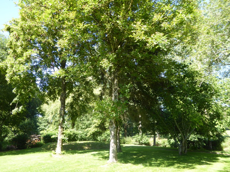 Meublé de tourisme > Le Moulin, Gavray-sur-Sienne - photo 3
