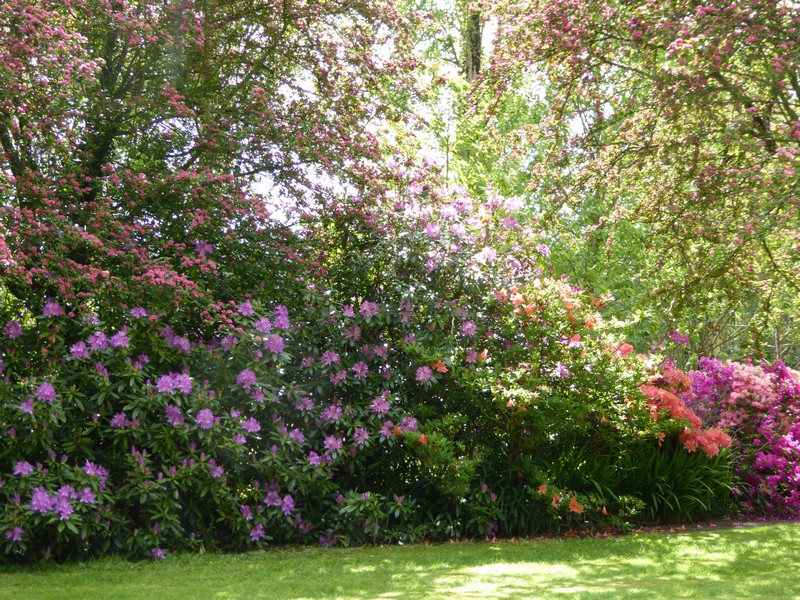 Meublé de tourisme > Le Moulin, Gavray-sur-Sienne - photo 12