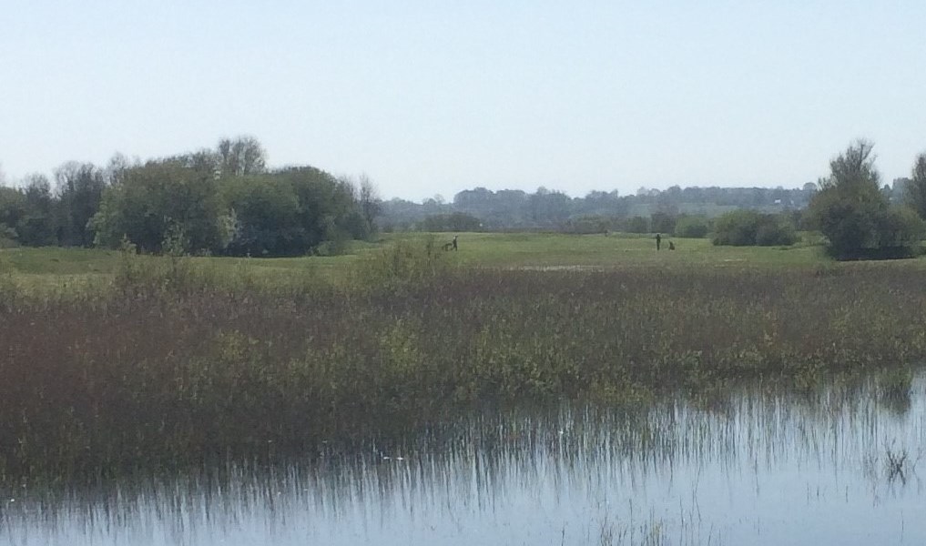 Golf Utah Beach Normandie, Fontenay-sur-Mer - photo 5