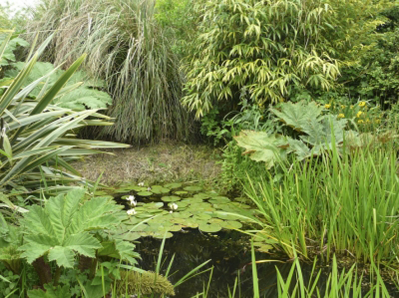 Meublé de tourisme > La Mare aux Fées, Gorges - photo 11