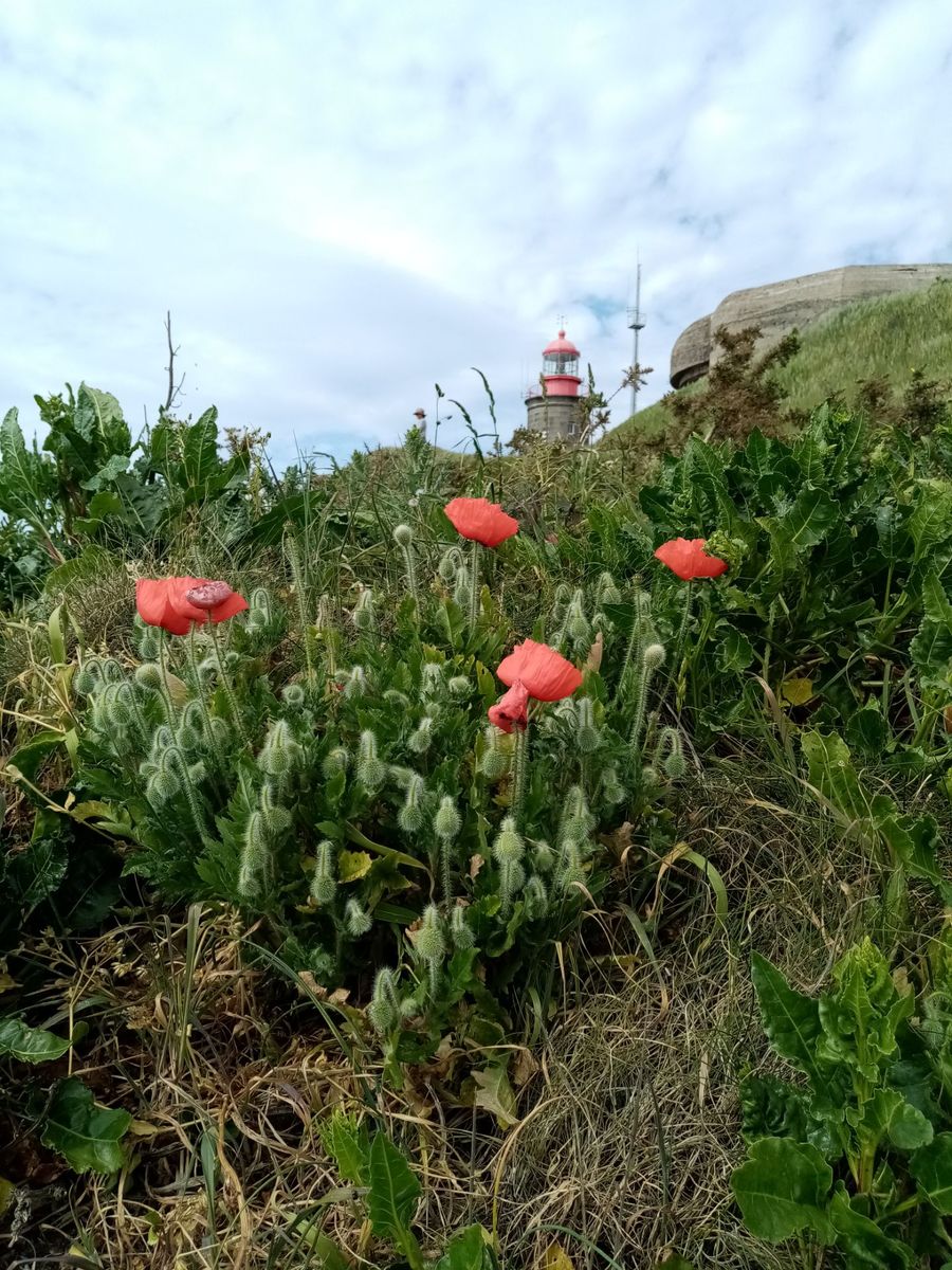Chambres d'Hôtes > La Maison de Juliette, Granville - photo 5