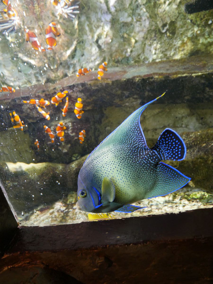 Au coeur du Roc - photo 4