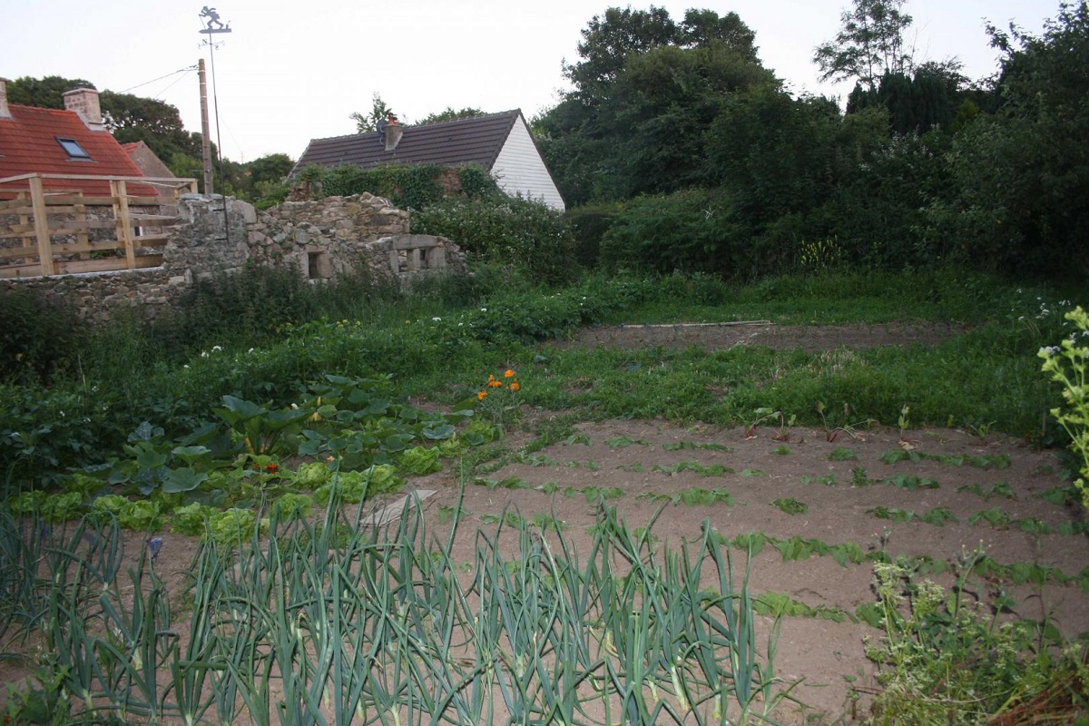 Chambres d'hôtes H3340 > Les Ricochets, La Hague - photo 5