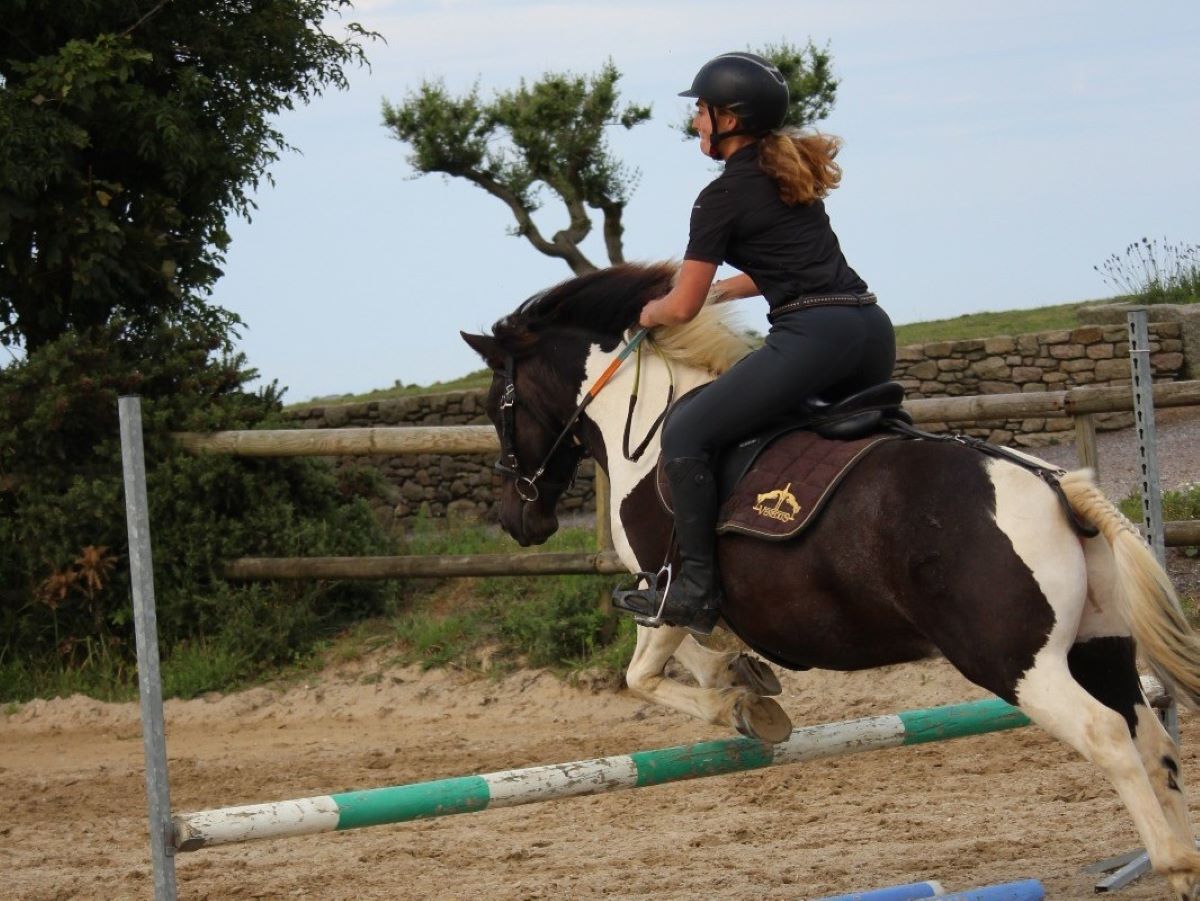 Les Poneys du Caté