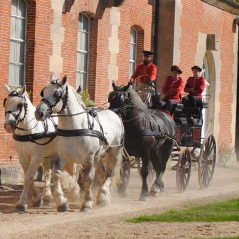 Haras national du Pin