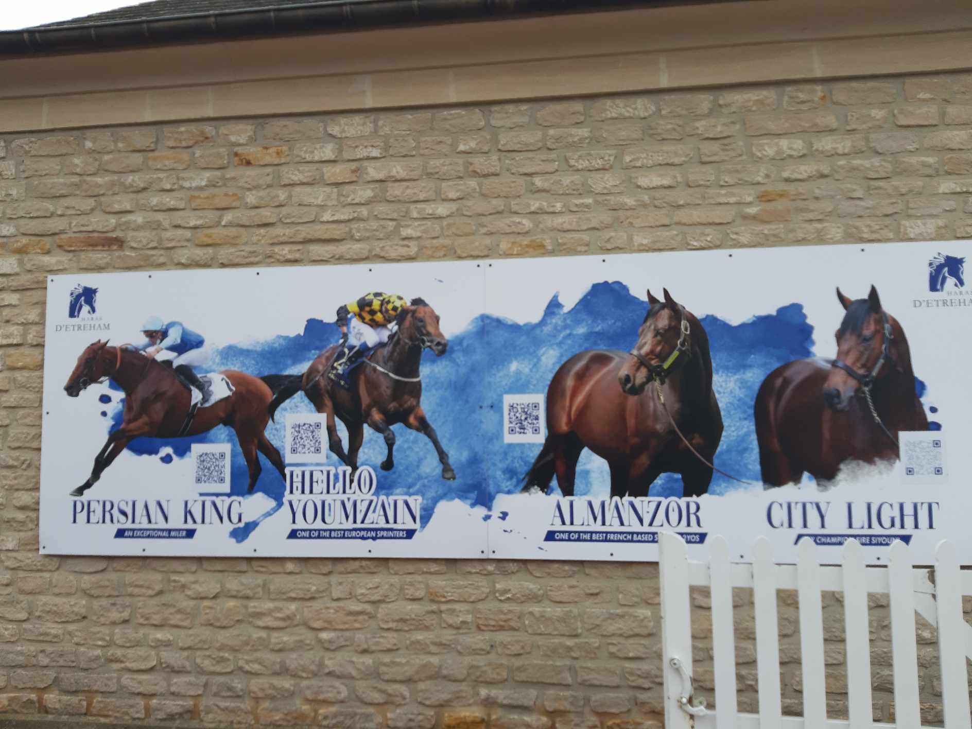 Balade en attelage "De la terre au pur-sang : balade au cœur de l’agriculture normande, au rythme des chevaux" - photo 3