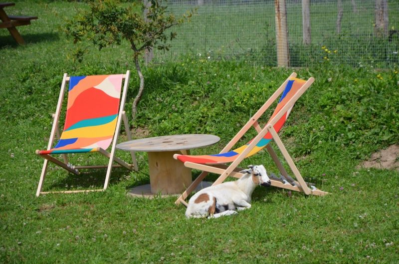 La Mini Ferme du Taillais, Yquelon - photo 2