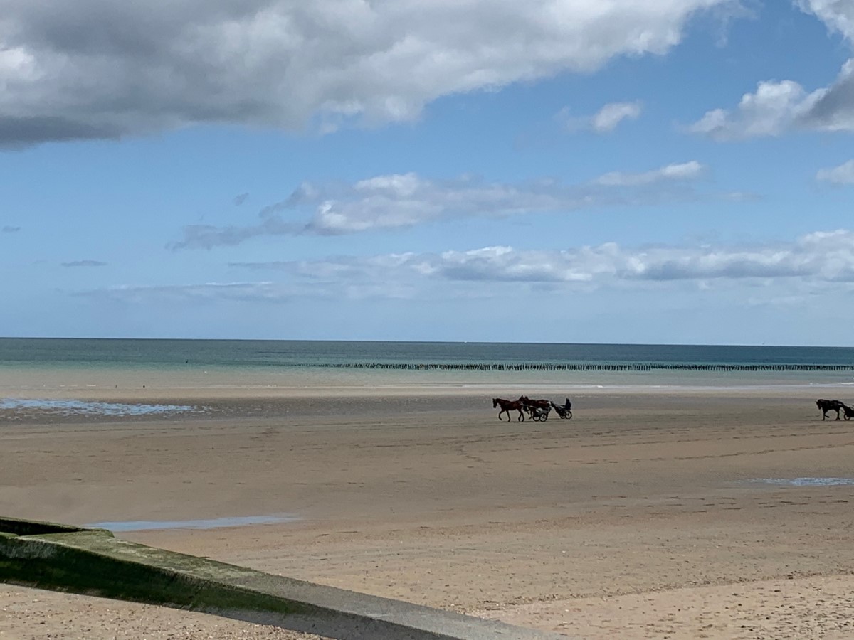 Meublé de tourisme > Havre des Isles, Quinéville - photo 4