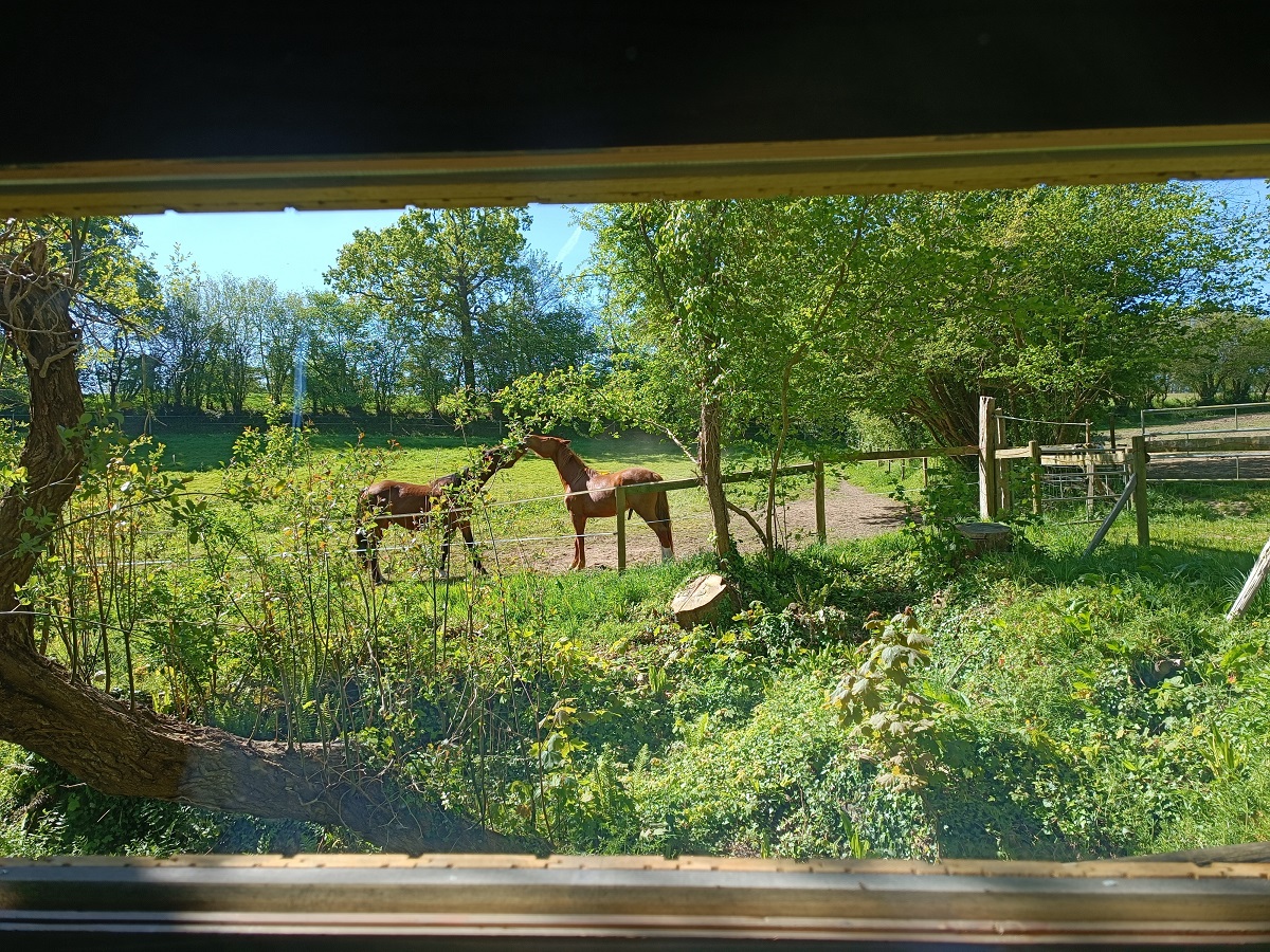 Hébergement Insolite > La Source des Poulains — photo 2