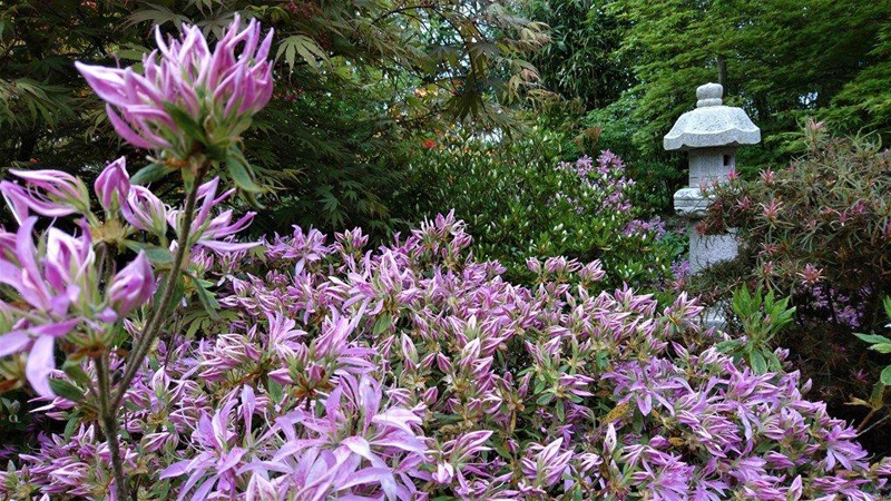 Au Phil du Jardin, Helleville - photo 6