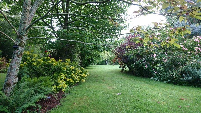 Au Phil du Jardin, Helleville