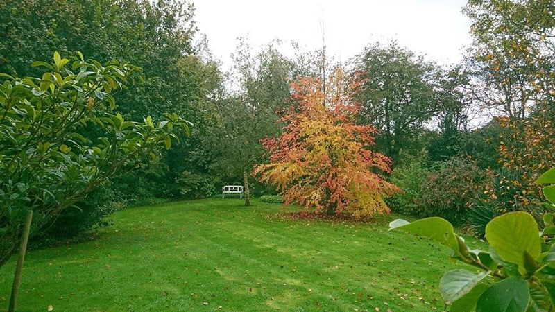 Au Phil du Jardin, Helleville - photo 10