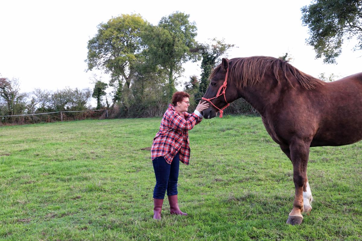 Gîte d'étape équestre > En Selle, Helleville - photo 2