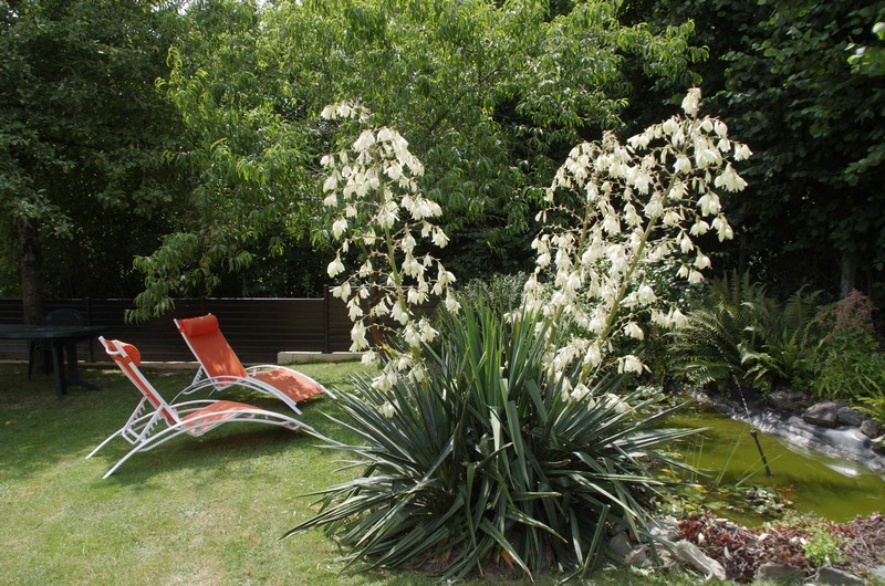 Chambres d'Hôtes > Dali, Orval sur Sienne - photo 5