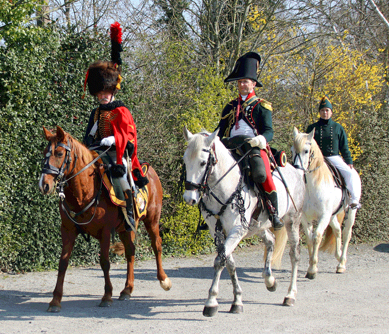 Military horse - drawn show