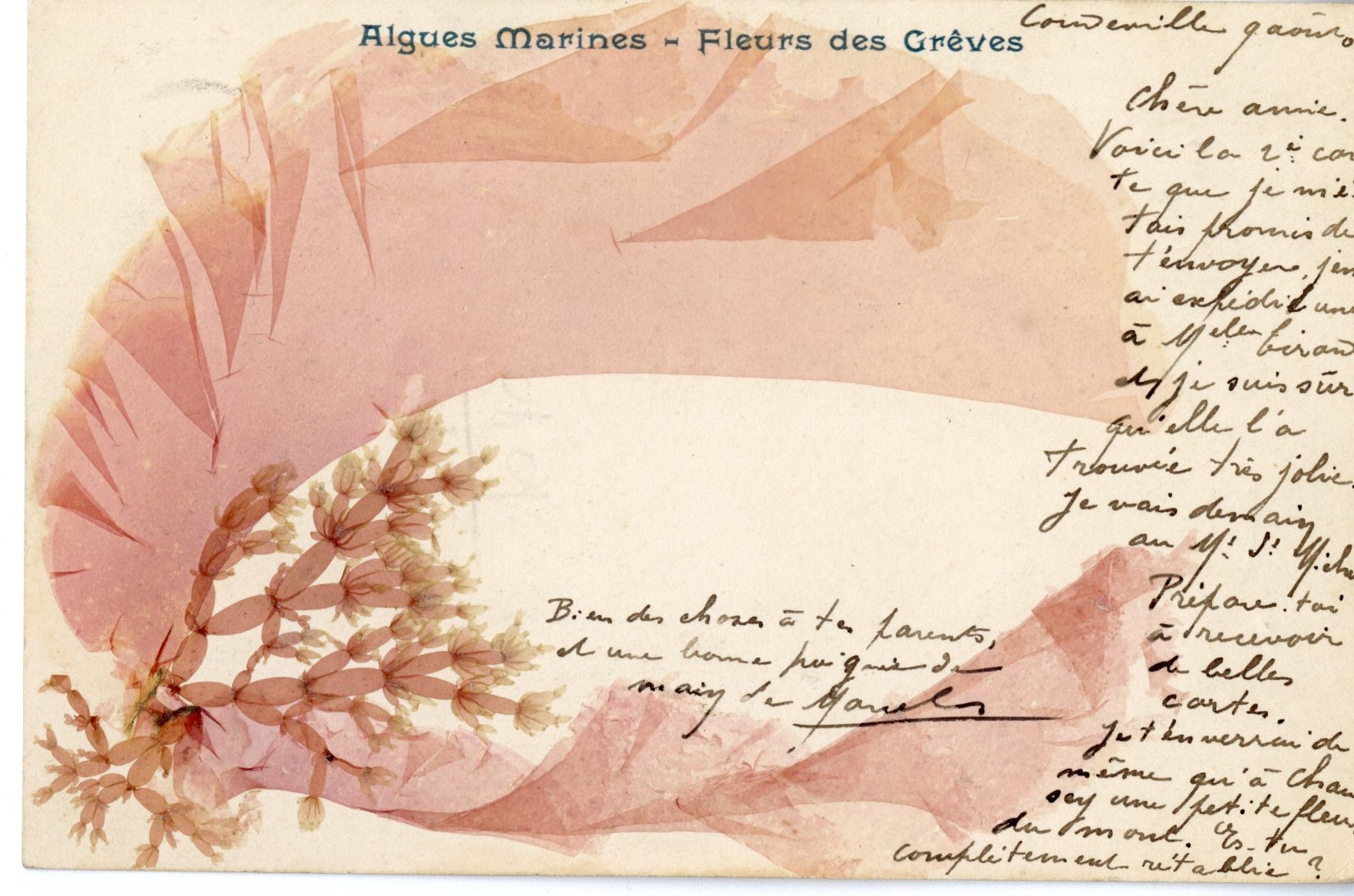 Atelierd'écriture autour de l'alguier de la naturaliste Maria Doublet avec Adeline Miermont Giustinati -Ile Tatihou
