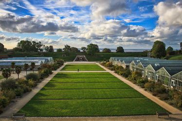 Découverte des oiseaux des jardins