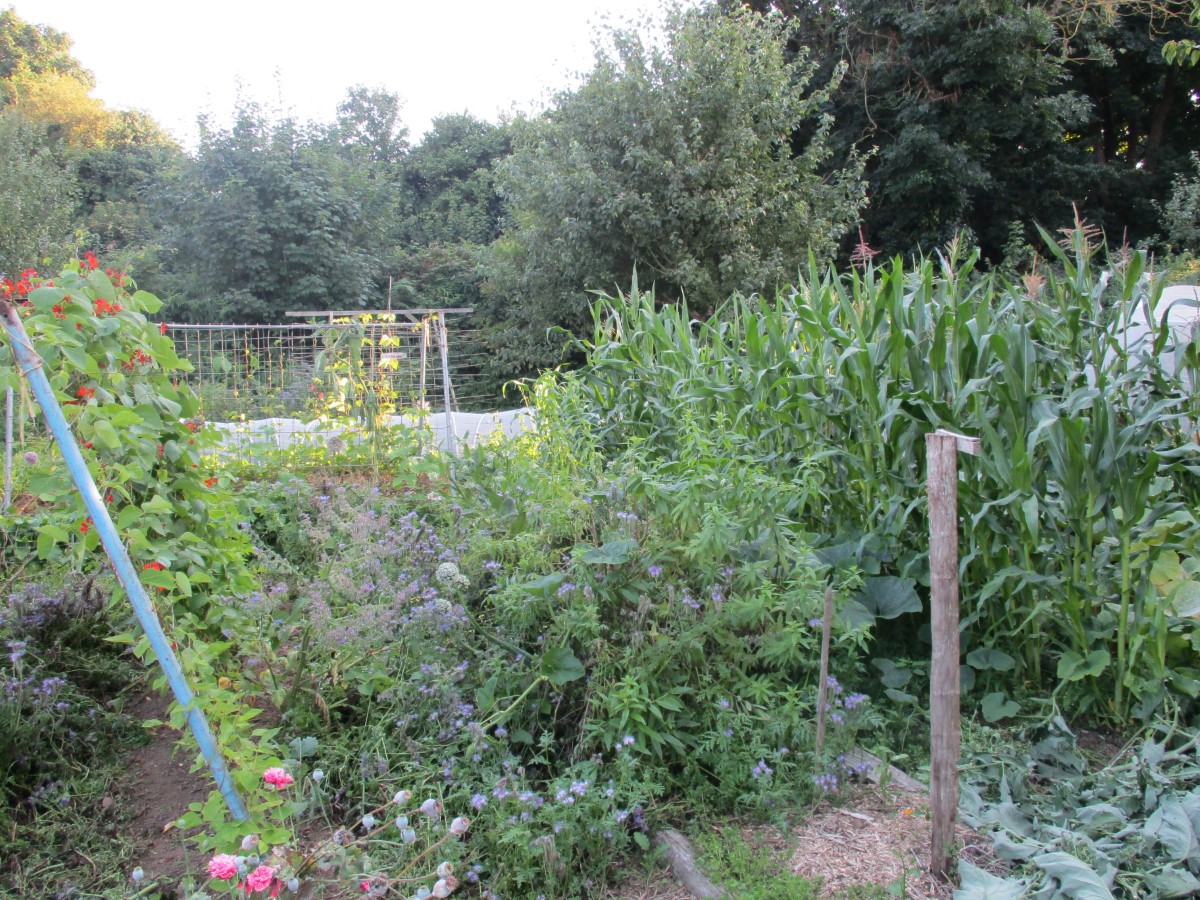 Chambres d'hôtes H3340 > Les Ricochets, La Hague - photo 6