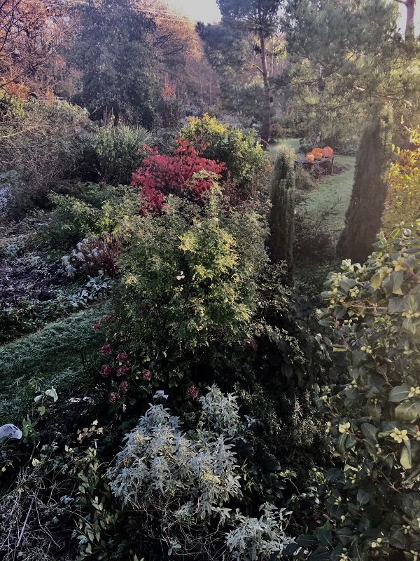 Jardin Les Sept Chênes, Lessay - photo 10