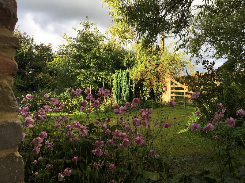 Jardin Les Sept Chênes, Lessay - photo 8