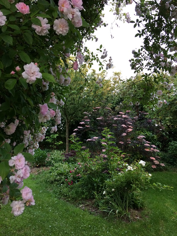 Jardin Les Sept Chênes, Lessay - photo 11