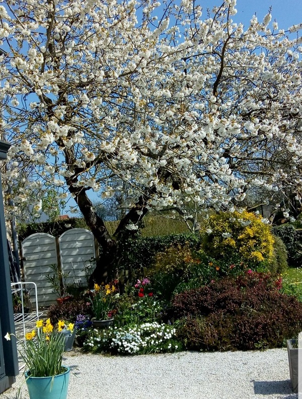 Chambre d'Hôtes > La Vimonderie, Cavigny - photo 7