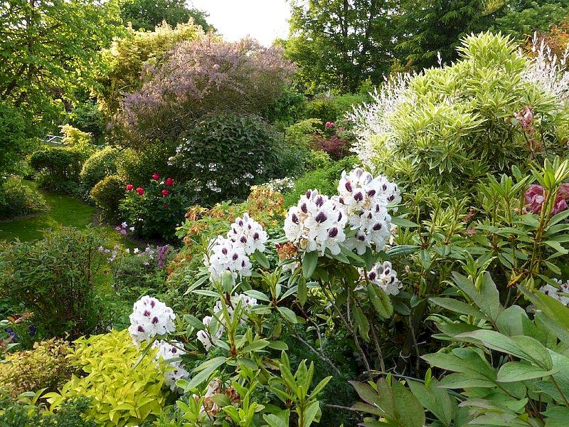 Rendez-vous aux jardins - Le jardin Bleuenn