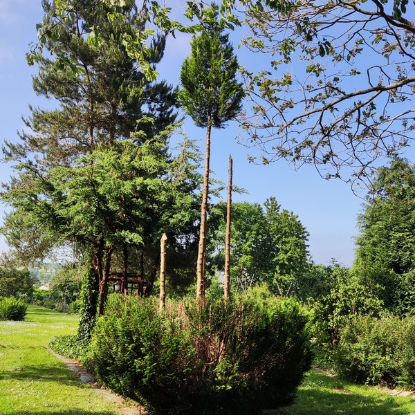 Le Jardin de la Chevallerie