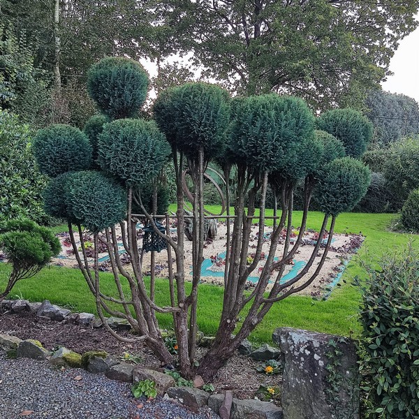 Le Jardin de la Chevallerie