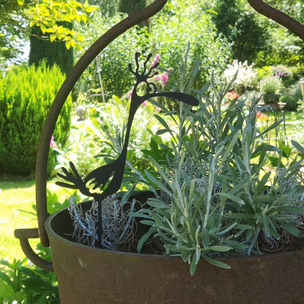 Le Jardin de la Chevallerie